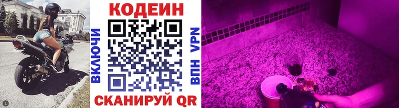 Купить где  Снежинск  Codein напиток Lean (лин) 